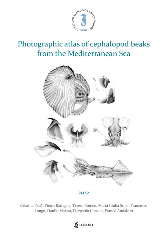 Photographic atlas of cephalopod beaks from the Mediterranean Sea