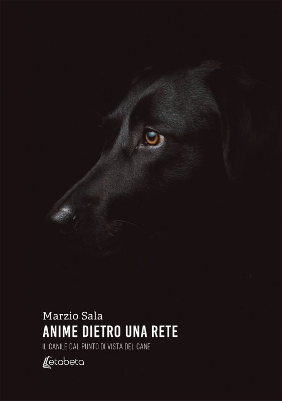 Anime dietro una rete