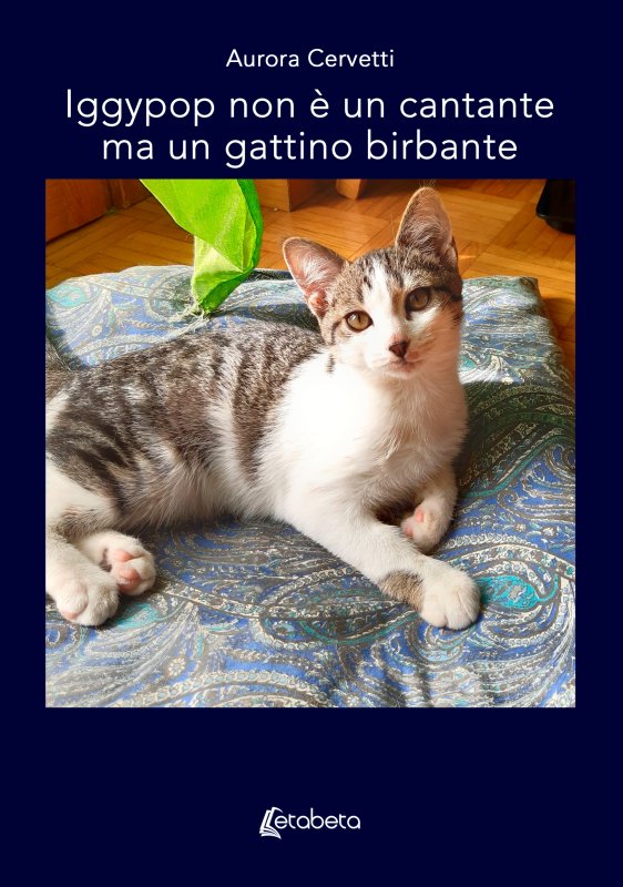 Iggypop non è un cantante ma un gattino birbante