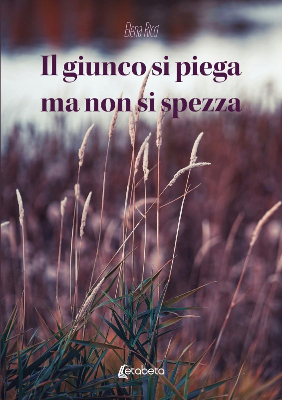 Il giunco si piega ma non si spezza