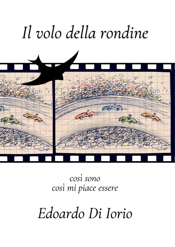 Il volo della rondine
