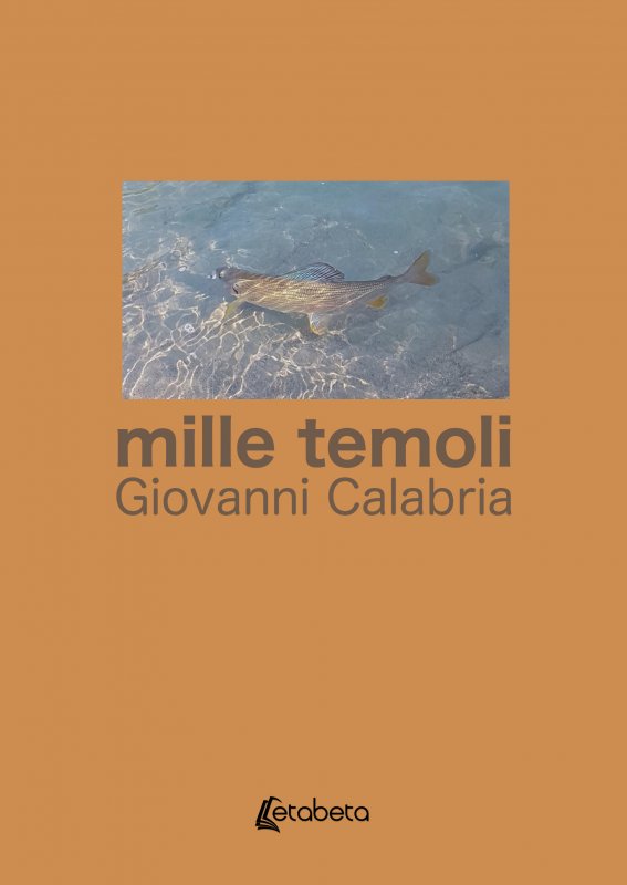 mille temoli