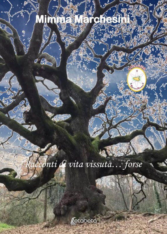 Racconti di vita vissuta...forse