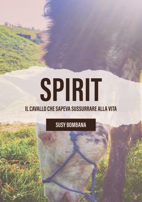 Spirit