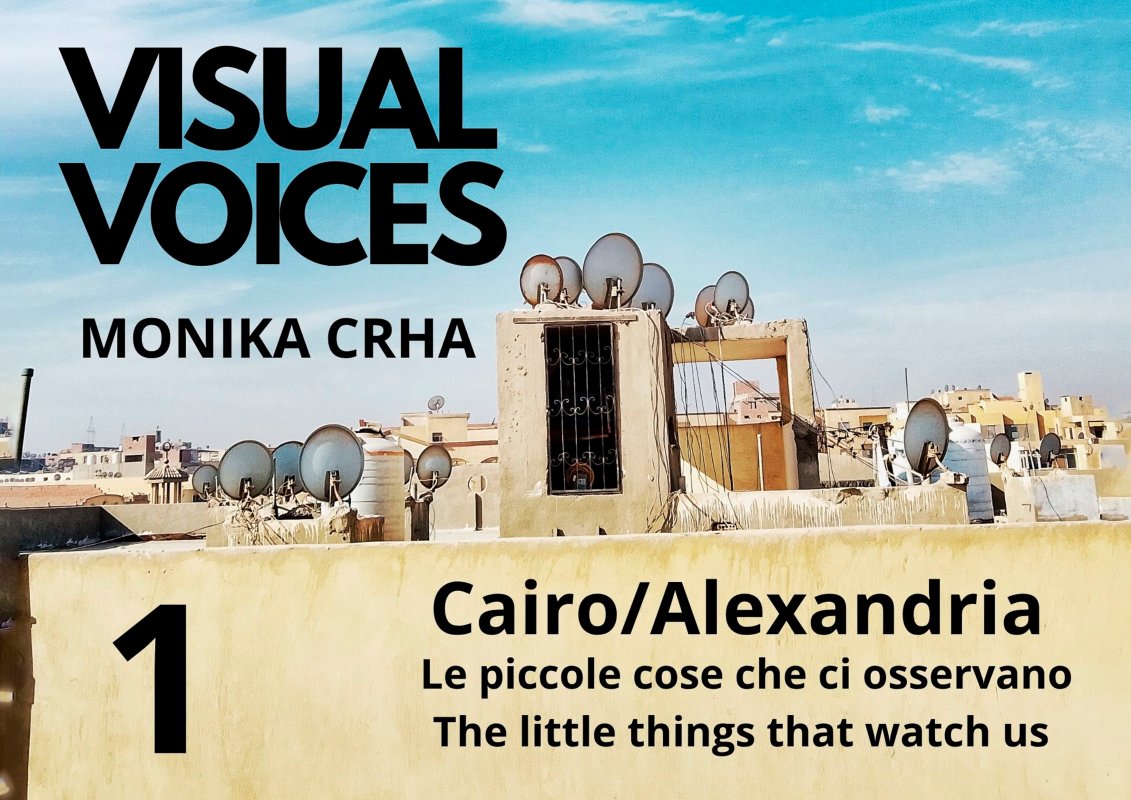 Visual Voices