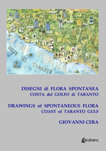 Disegni di flora spontanea costa del golfo di Taranto - Drawings of spontaneous flora coast of Taranto gulf