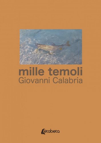 mille temoli