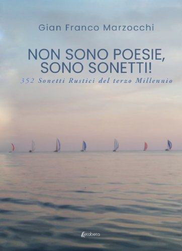 Non sono poesie, sono sonetti! - 352 Sonetti rustici del terzo Millennio