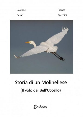 Storia di un Molinellese - (Il volo del Bell'Uccello)