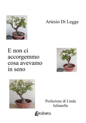 E non ci accorgemmo cosa avevamo in seno