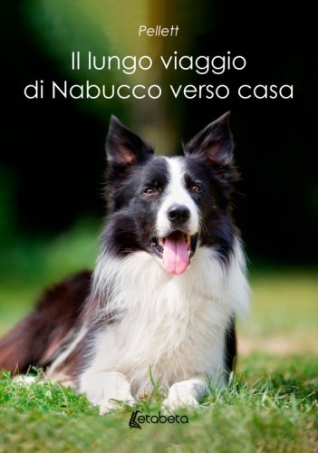 Il lungo viaggio di Nabucco verso casa