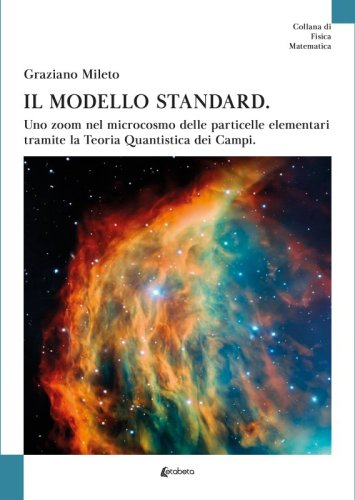 Il modello standard - Uno zoom nel microcosmo delle particelle elementari tramite la Teoria Quantistica dei Campi