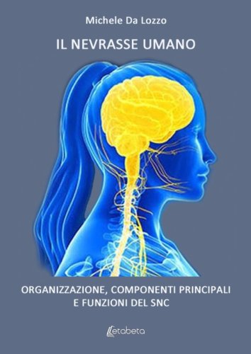 Il nevrasse umano - Organizzazione, componenti principali e funzioni del SNC