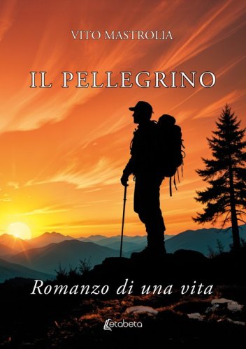 Il pellegrino - Romanzo di una vita