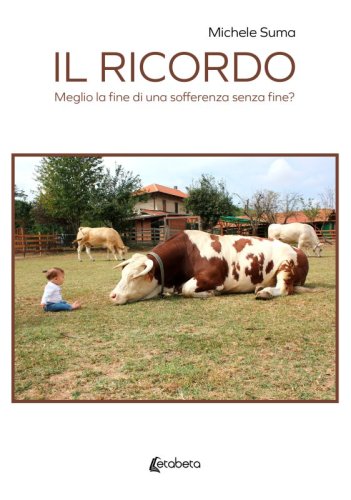 Il ricordo - Meglio la fine di una sofferenza senza fine?