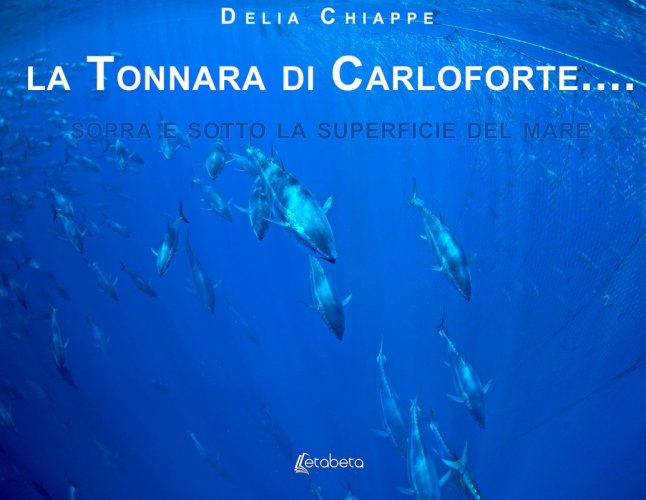 La tonnara di Carloforte - sopra e sotto la superficie del mare
