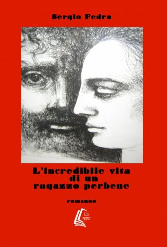 L'incredibile vita di un ragazzo perbene