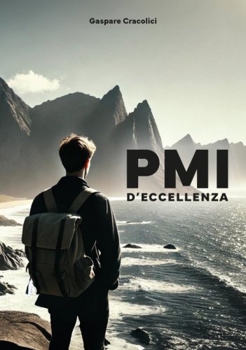 PMI d&rsquo;eccellenza